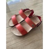 ราคา รองเท้ารัดส้น Scholl สีแดง (26511317282)