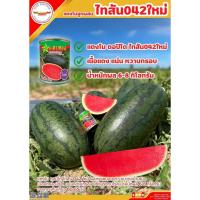 ราคา เมล็ดพันธุ์แตงโม ตอปิโด ไทสัน 042 ใหม่ ตราดาวทอง ขนาด 40 กรัม (25889691592)
