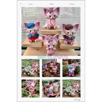 ราคา โมเดลตุ๊กตาสุนัขจิ้งจอกสุดน่ารักงานดีสีสดงานPVCตกแต่งสวน (18713123462)