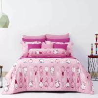 ราคา Dunlopillo ชุดผ้านวม Softatex รหัส DL-13 ขนาด 90x100" (114514148)