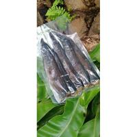 ราคา ปลาดุกร้าเมืองนครศรีธรรมราช500กรัม (8410778505)