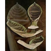 ราคา เรือหมู เรือไม้สักเก่า เรือไม้โบราณ (11396750814)