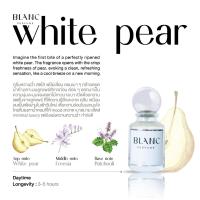 ราคา Blanc White Pear Perfume 30ml. (23790763810)
