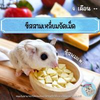 ราคา ( ชีสสามเหลี่ยม ) อัดเม็ด ชีสอัดเม็ด ชีสก้อน ชีส นมแพะอัดเม็ด นมแพะผง ชีสนมแพะ ขนม สัตว์เล็ก ชูการ์ ชูก้า (17381521096)