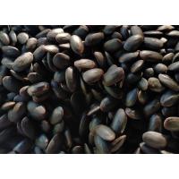 ราคา เม็ดเหรียงป่า..สำหรับเพาะ (6524328061)