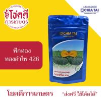 ราคา ฟักทอง เมล็ดฟักทอง ทองอำไพ 426 เมล็ดพันธุ์ ฟักทอง ลูกผสม ตรา เจียไต๋ บรรจุ 1000 เมล็ด (42976087778)