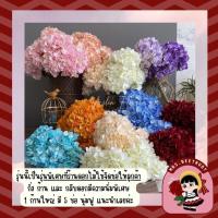 ราคา สิงหา ราคาโดนใจ ช่อไฮเดรนเยีย ดอกไฮเดรนเยีย ไฮเดรนเยียจัดช่อ ไฮเดรนเยียนำเข้า ไฮเดรนเยียไซส์ใหญ่พิเศษ (17172723944)