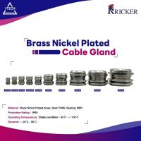 ราคา เคเบิลแกลนโลหะ เคเบิ้ลแกน Brass Nickel Plated Cable Gland PG Type แบรนด์ RICKER (ราคา/1ตัว) (19182012629)