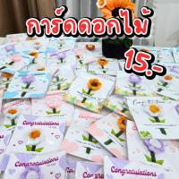 ราคา การ์ดดอกไม้ การ์ด Congratulations ขนาด 3.5 x 4 นิ้ว การ์ดปัจฉิม ดอกกำมะหยี่ ของขวัญ วันปัจฉิม รับปริญญา การ์ดอวยพร (24768779319)