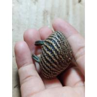 ราคา เครื่องรางเบี้ยแก้เก่าๆๆหลวงปู่รอดวัดนายโรง (26451443912)