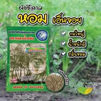 ราคา เมล็ดพันธุ์ ผักชีลาว หอมเอ็นจอย ตราปลาน้ำเงิน ขนาด500กรัม งอกดี กอใหญ่ กลิ่นหอม (29901233745)