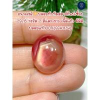 ราคา ธนาภรณ์✨พลอยทับทิมสตาร์กินบ่เซี่ยง 29.15 กะรัต 2 สีแดง+ขาว เนื้อแก้ว มีมิติ พลอยแท้100%(GSH1134) (26121621065)