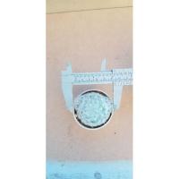 ราคา แมมขนนกขาว กำลังแตกหน่อ (5972087791)