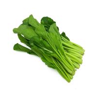 ราคา ผักกวางตุ้งอ่อน คัดสวย 1 กก./แพ็ค (41711388885)