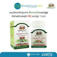 ราคา ฟ้าทะลายโจรแคปซูล อภัยภูเบศร 60 แคปซูล (1 ขวด) (29106862067)