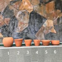 ราคา กระถางดินเผา ขนาดเล็ก (4532456960)