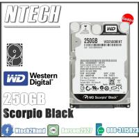 ราคา HDD (ฮาร์ดดิสก์) Western Digital 250GB Scorpio Black (250GB, SATA-300) | WD2500BEKT (9415819225)