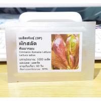 ราคา ผักสลัด คิมมารอน - Cimmaron Romaine Lettuce (4424211655)