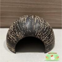 ราคา บ้านหลบกะลามะพร้าวแฮมสเตอร์ไจแอนท์ (12482860355)