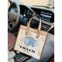 ราคา กระเป๋าCOACH ช้างผ้าแคนวาส (4653469293)
