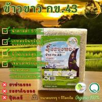 ราคา ข้าวขาวกข43 ข้าวอินทรีย์ ออแกนิก ข้าวปลอดสารเคมีขนาดบรรจุ 1 กิโลกรัม (22746251661)