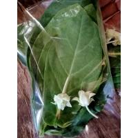 ราคา ใบดอกรักซ้อน คัดใบใหญ่ ก้านตรงกัน 6 ใบแถมดอกรักซ้อน 2ดอก (24856047615)