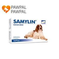 ราคา Samylin Medium breed Exp.1/8/2026 ของแท้ฉลากไทย อาหารเสริม บำรุงตับ สุนัขขนาดกลาง (25676310376)