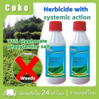 ราคา 200ML.ยาฆ่าต้นไม้ใหญ่เข้มข้น ยาเผาไหม้ ฆ่าหญ้า รากเน่า ฆ่าตอไม้ แบบเห็นผลดี (40207279844)