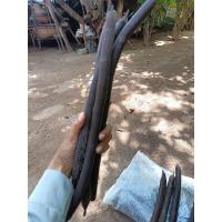 ราคา ฝักคูณ/ฝักราชพฤกษ์จำนวน 10 ฝัก (42168995203)