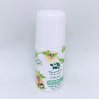 ราคา พร้อมส่ง ❗️โรลออนเต่าเหยียบโลก นิวเจน (2315599303)