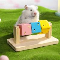 ราคา ของเล่นหมุนลูกบาศก์หนูแฮมสเตอร์ Mainan Hamster Rubik Cube ของเล่นหนูแฮมสเตอร์ Mainan Hamster อุปกรณ์หนูแฮมสเตอร์ (49202287073)