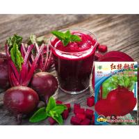 ราคา เมล็ดบีทรูท Beetroot 200 เมล็ด สายพันธุ์ OP (8202768415)