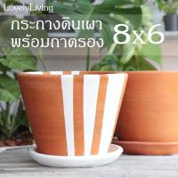 ราคา กระถางดินเผา 8 นิ้ว พร้อมถาดรอง กระถางดินเผาทรงเตี้ย กระถางดินเผาทรงเรียบ ดินเผา 8 นิ้ว ดินเผามินิมอล (5980894691)