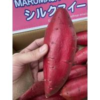 ราคา **ส่งฟรี** มันหวานญี่ปุ่น มันซิลสวีท Silk Sweet 5kg (9926100519)