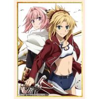 ราคา [Anime Bushiroad 0484] Sleeve Collection Fate Apocrypha Saber of Red & Rider of Black - สลีฟการ์ด (12216574834)