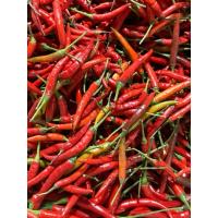 ราคา พริกจินดาสด รวมส่งฟรี สีสวยมาก (25366882969)