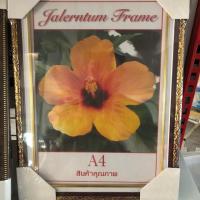 ราคา กรอบรูปA4 ใส่ผลงาน ขนาดA4 10 กรอบ (4417936168)