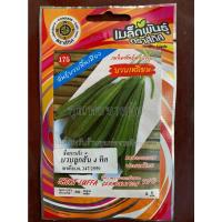 ราคา เมล็ดบวบเหลี่ยมลูกสั้น 10 แถม 1 บวบเหลี่ยม short liffa เมล็ดพันธุ์ผัก เมล็ดบวบ (17269324643)