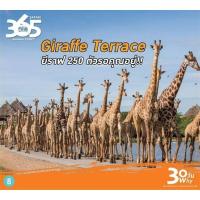 ราคา บัตร VIP SAFARI WORLD(ซาฟารี เวิลด์) ราคาพิเศษ บัตร VIP (17891856559)