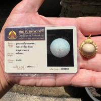 ราคา ลูกอมมหากัณฑ์หลวงพ่อคง บางกะพ้อม 1 ในเบญจภาคีลูกอมเมืองไทยวรรณะชมพูสุดหายาก สภาพสวยสมบูรณ์สุดๆ ดูง่าย แต่หาได้ยากยิ่ง (22541901469)