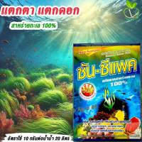 ราคา ซันซีแพค สาหร่ายพืช ขนาด 1 กิโล สาหร่ายเปิดตาเปิดดอก สาหร่ายพืชผง สาหร่ายพืชสกัด เพิ่มการติดผล ฟื้นฟูหลังการเก็บเกี่ยว (28473289160)