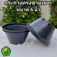 ราคา กระถางทรงชาม 6 นิ้วทรงเตี้ย/ปากกว้าง #ทรงชาม กระถางเพาะเมล็ด (23615228292)