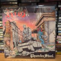 ราคา 1 LP แผ่นเสียงไวนิล RIOT - Thundersteel (0105) (17892424121)