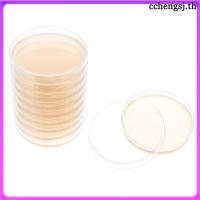 ราคา 10Pcs ชุดถาดเพาะเลี้ยงจุลินทรีย์ ห้องปฏิบัติการ ชุดจานอาหารเลี้ยงเชื้อพร้อมใช้ สำหรับโครงงานวิทยาศาสตร์เด็ก (25492670231)