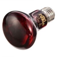 ราคา หลอดไฟอินฟาเรด หลอดไฟกลางคืน (6922689131)