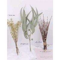 ราคา ชุดกิ่งไม้กิ่งใบยูคาลิปตัสแห้งจัดตกแต่งทั่วไปงานDlY (16296666370)