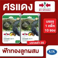 ราคา เมล็ดพันธุ์ ผักซอง ศรแดง ฟักทอง มรกตดำ F1 บรรจุแพ็คละ 10 ซอง (22330280573)
