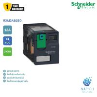 ราคา RXM2AB1BD Relay 2 Contact 12A Coil 24VDC Schneider รีเลย์ (25522425679)