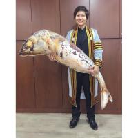 ราคา หมอนปลาทูทอด bringmehug ขนาด 150 ซม ไซส์จัมโบ้ ตกแต่งร้านอาหาร ของขวัญ ของฝาก (634831971)