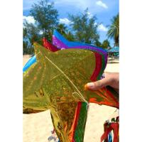 ราคา ว่าวเด็ก ว่าวจุฬา ว่าวแก้บน (29455131114)